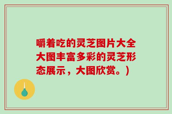 嚼着吃的灵芝图片大全大图丰富多彩的灵芝形态展示，大图欣赏。)