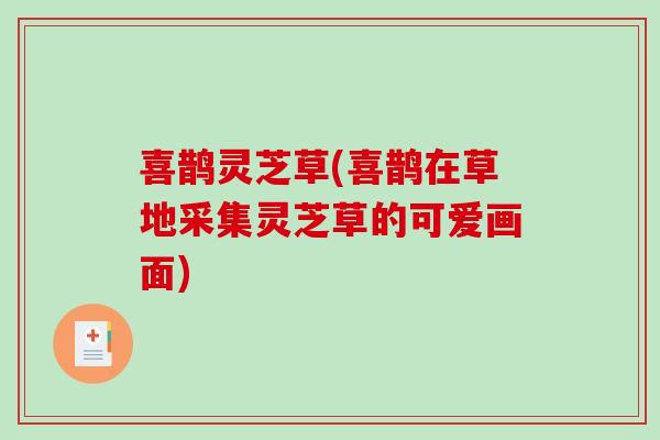 喜鹊灵芝草(喜鹊在草地采集灵芝草的可爱画面)