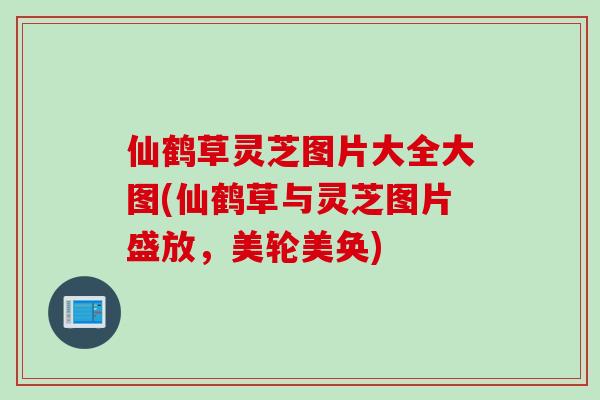 仙鹤草灵芝图片大全大图(仙鹤草与灵芝图片盛放，美轮美奂)