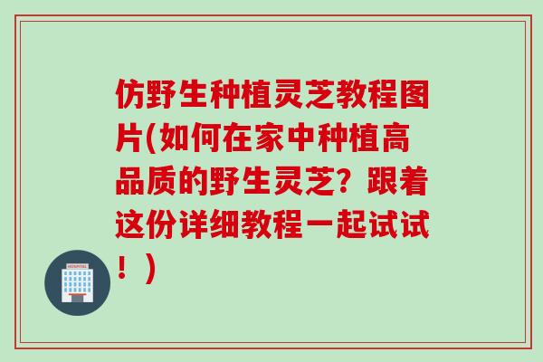 仿野生种植灵芝教程图片(如何在家中种植高品质的野生灵芝？跟着这份详细教程一起试试！)