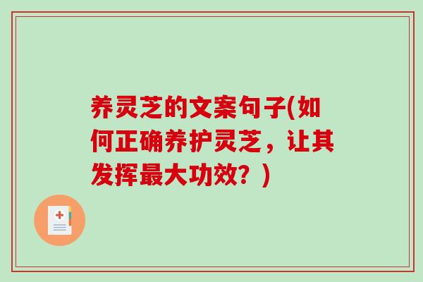 养灵芝的文案句子(如何正确养护灵芝，让其发挥最大功效？)