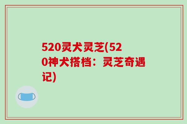 520灵犬灵芝(520神犬搭档：灵芝奇遇记)