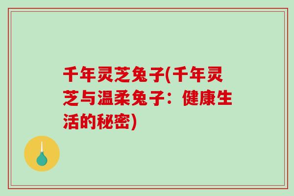 千年灵芝兔子(千年灵芝与温柔兔子：健康生活的秘密)
