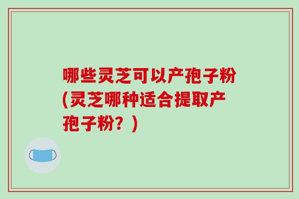 哪些灵芝可以产孢子粉(灵芝哪种适合提取产孢子粉？)