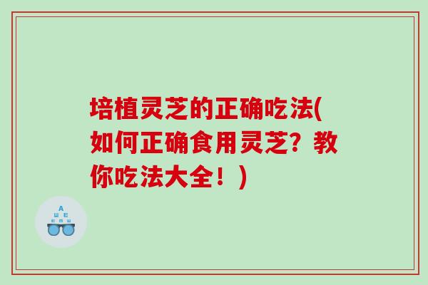 培植灵芝的正确吃法(如何正确食用灵芝？教你吃法大全！)