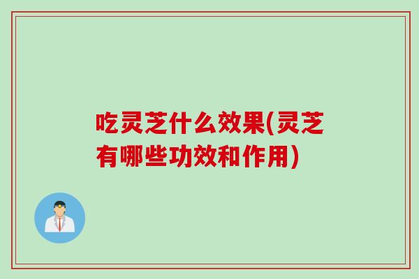 吃灵芝什么效果(灵芝有哪些功效和作用)
