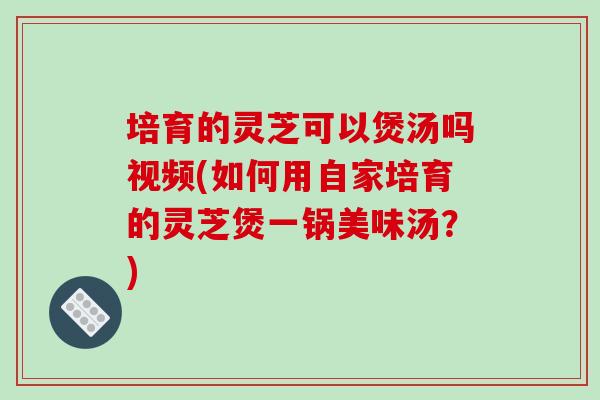 培育的灵芝可以煲汤吗视频(如何用自家培育的灵芝煲一锅美味汤？)