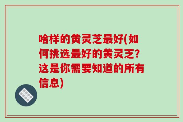 啥样的黄灵芝最好(如何挑选最好的黄灵芝？这是你需要知道的所有信息)