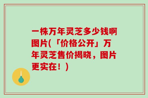 一株万年灵芝多少钱啊图片(「价格公开」万年灵芝售价揭晓，图片更实在！)