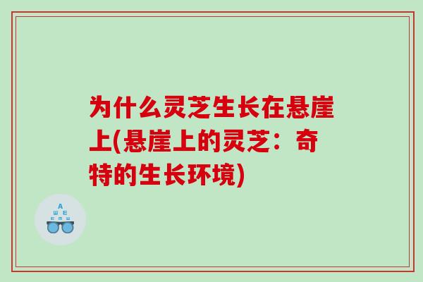 为什么灵芝生长在悬崖上(悬崖上的灵芝：奇特的生长环境)