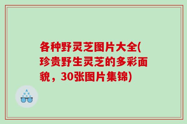 各种野灵芝图片大全(珍贵野生灵芝的多彩面貌，30张图片集锦)