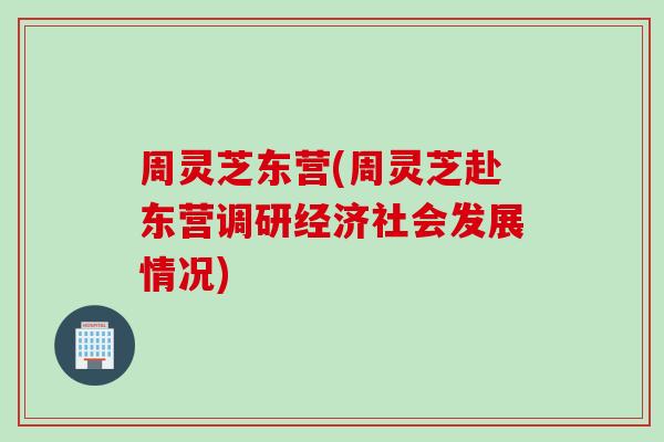 周灵芝东营(周灵芝赴东营调研经济社会发展情况)