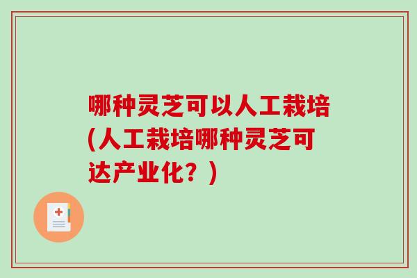 哪种灵芝可以人工栽培(人工栽培哪种灵芝可达产业化？)