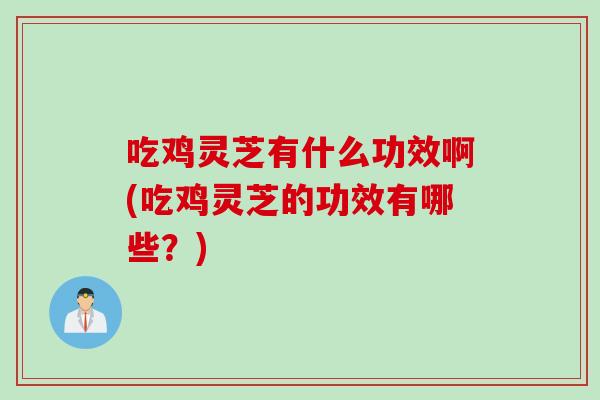 吃鸡灵芝有什么功效啊(吃鸡灵芝的功效有哪些？)