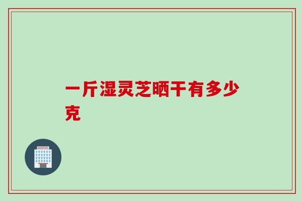 一斤湿灵芝晒干有多少克