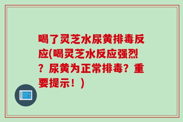喝了灵芝水尿黄反应(喝灵芝水反应强烈？尿黄为正常？重要提示！)