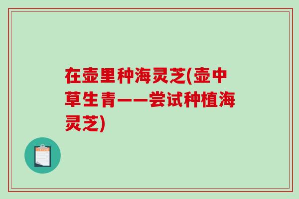 在壶里种海灵芝(壶中草生青——尝试种植海灵芝)