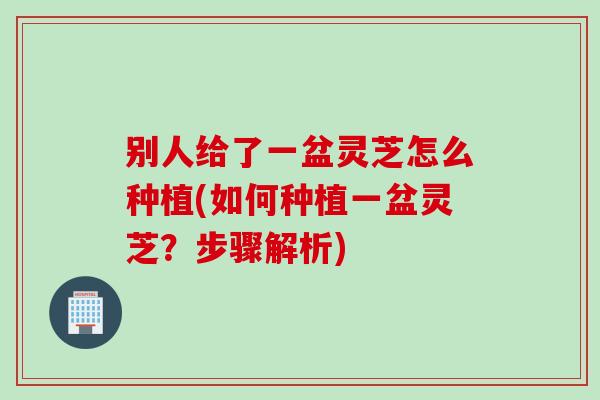 别人给了一盆灵芝怎么种植(如何种植一盆灵芝？步骤解析)