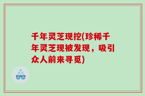 千年灵芝现挖(珍稀千年灵芝现被发现，吸引众人前来寻觅)