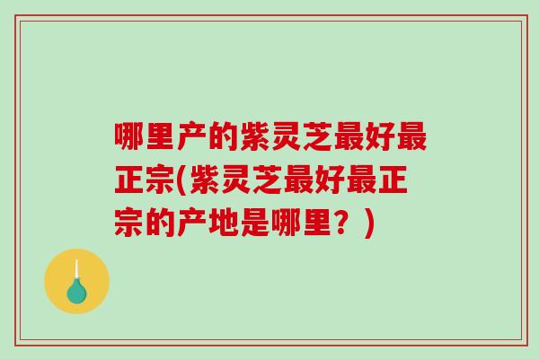 哪里产的紫灵芝好正宗(紫灵芝好正宗的产地是哪里？)