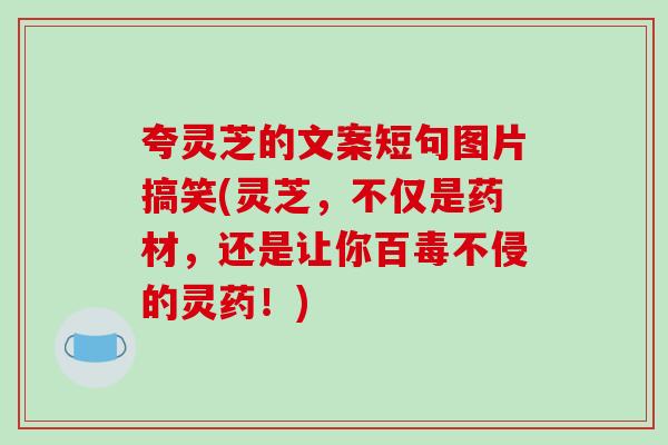 夸灵芝的文案短句图片搞笑(灵芝，不仅是药材，还是让你百毒不侵的灵药！)