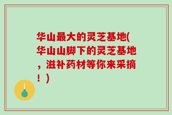 华山大的灵芝基地(华山山脚下的灵芝基地，滋补药材等你来采摘！)
