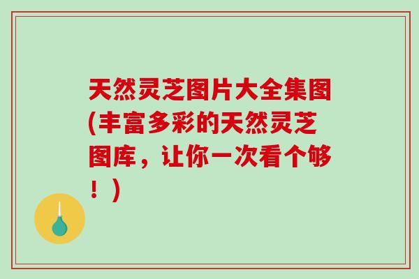天然灵芝图片大全集图(丰富多彩的天然灵芝图库，让你一次看个够！)