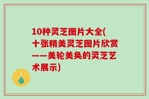 10种灵芝图片大全(十张精美灵芝图片欣赏——美轮美奂的灵芝艺术展示)