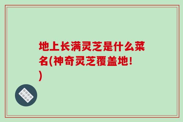 地上长满灵芝是什么菜名(神奇灵芝覆盖地！)