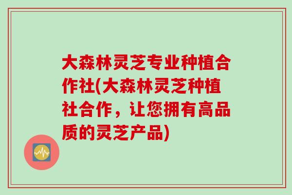 大森林灵芝专业种植合作社(大森林灵芝种植社合作，让您拥有高品质的灵芝产品)