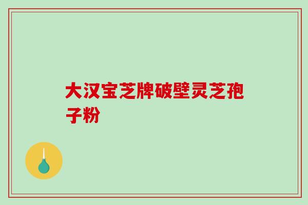 大汉宝芝牌破壁灵芝孢子粉