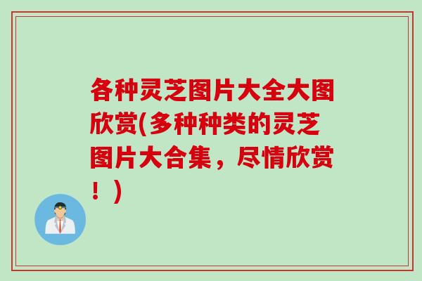 各种灵芝图片大全大图欣赏(多种种类的灵芝图片大合集，尽情欣赏！)