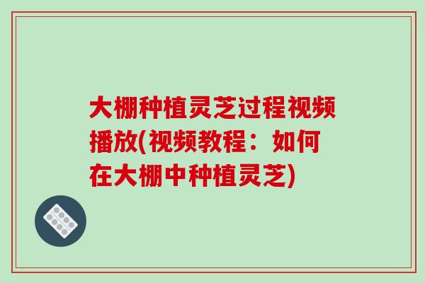 大棚种植灵芝过程视频播放(视频教程：如何在大棚中种植灵芝)