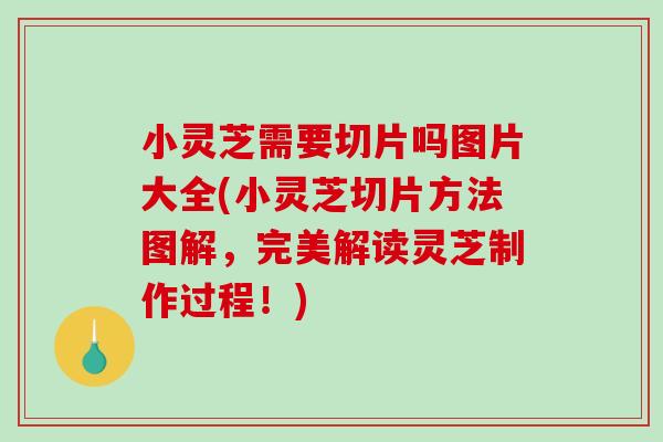 小灵芝需要切片吗图片大全(小灵芝切片方法图解，完美解读灵芝制作过程！)