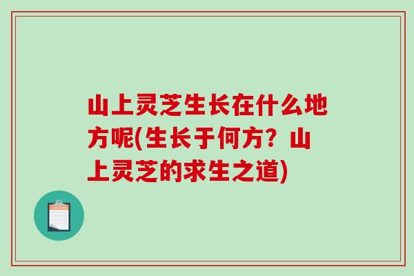 山上灵芝生长在什么地方呢(生长于何方？山上灵芝的求生之道)