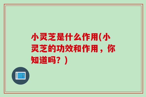 小灵芝是什么作用(小灵芝的功效和作用，你知道吗？)