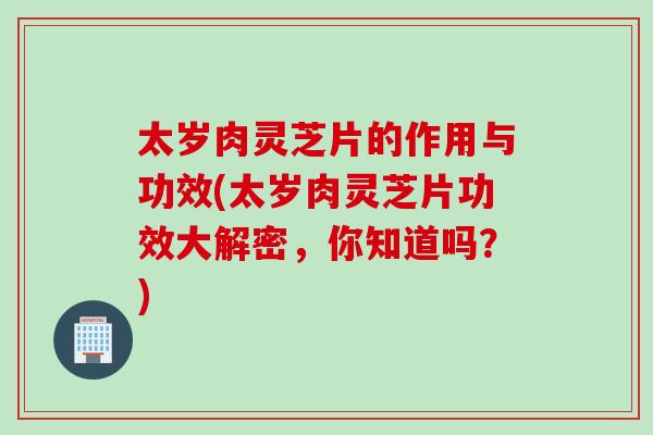 太岁肉灵芝片的作用与功效(太岁肉灵芝片功效大解密，你知道吗？)