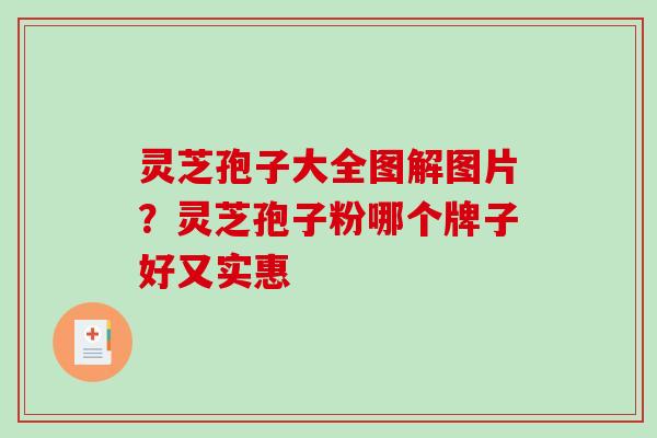 灵芝孢子大全图解图片？灵芝孢子粉哪个牌子好又实惠