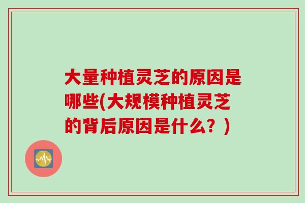 大量种植灵芝的原因是哪些(大规模种植灵芝的背后原因是什么？)