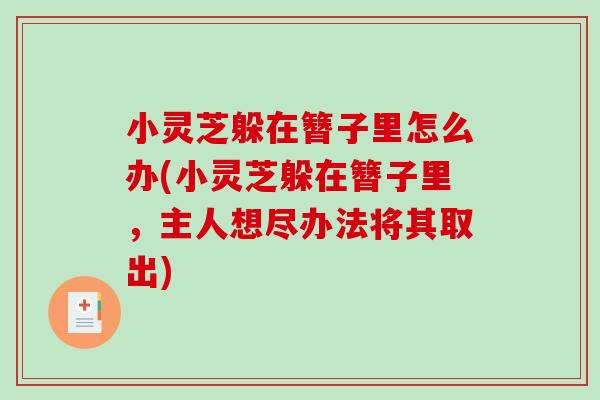 小灵芝躲在簪子里怎么办(小灵芝躲在簪子里，主人想尽办法将其取出)