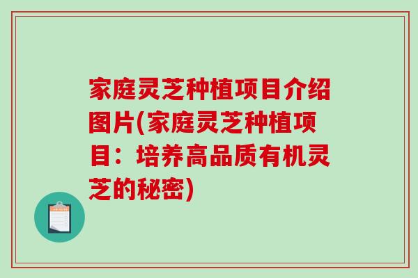 家庭灵芝种植项目介绍图片(家庭灵芝种植项目：培养高品质有机灵芝的秘密)
