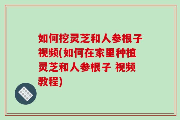 如何挖灵芝和人参根子视频(如何在家里种植灵芝和人参根子 视频教程)