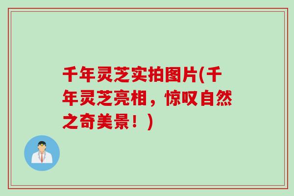 千年灵芝实拍图片(千年灵芝亮相，惊叹自然之奇美景！)