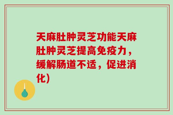 天麻肚肿灵芝功能天麻肚肿灵芝提高免疫力，缓解肠道不适，促进消化)