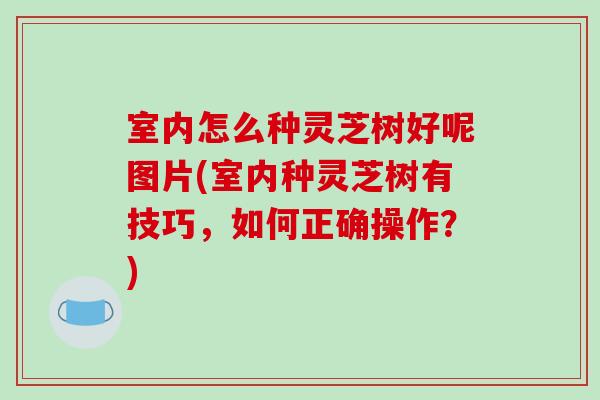 室内怎么种灵芝树好呢图片(室内种灵芝树有技巧，如何正确操作？)