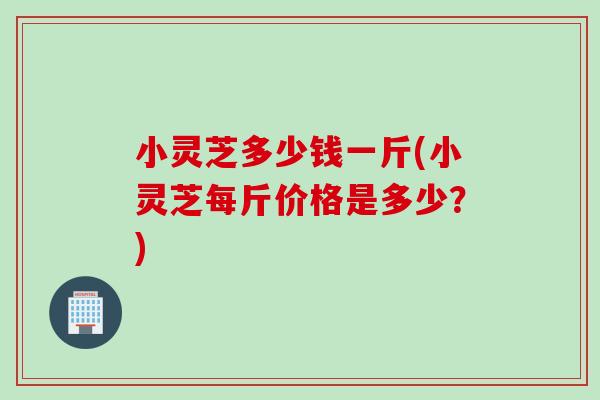 小灵芝多少钱一斤(小灵芝每斤价格是多少？)