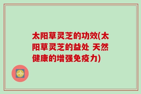太阳草灵芝的功效(太阳草灵芝的益处 天然健康的增强免疫力)