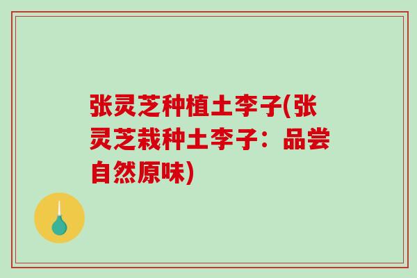 张灵芝种植土李子(张灵芝栽种土李子：品尝自然原味)