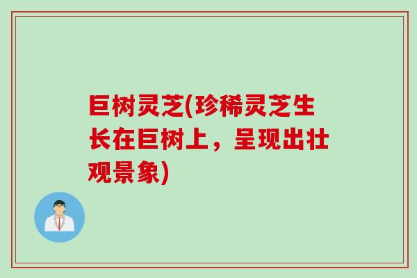 巨树灵芝(珍稀灵芝生长在巨树上，呈现出壮观景象)