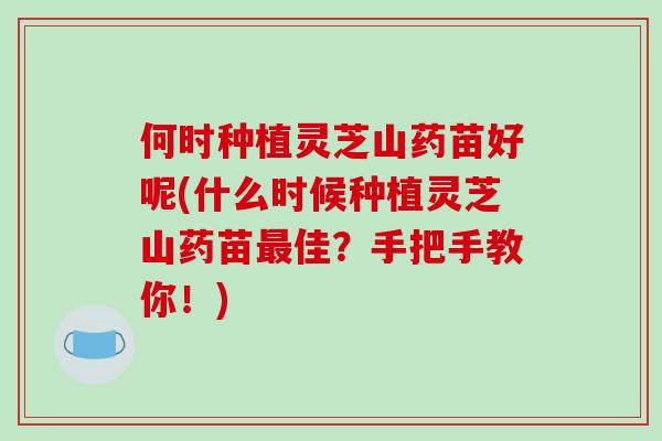 何时种植灵芝山药苗好呢(什么时候种植灵芝山药苗佳？手把手教你！)